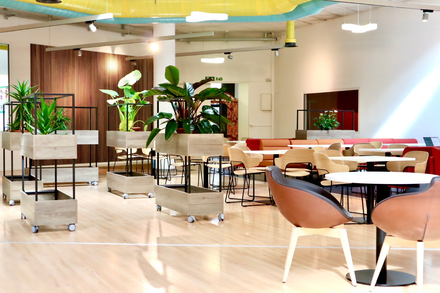 International School Zurich North